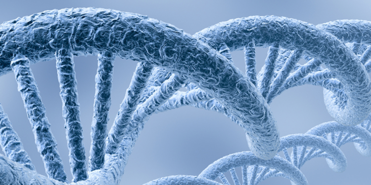 The “gene deserts,” which are revealing the secrets of illness