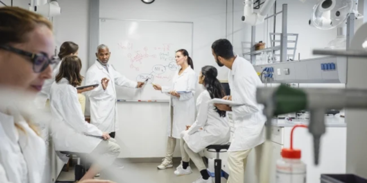 Programme Innovations Encouraging Student Research Success