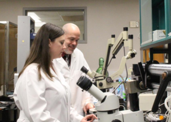 Long-read RNA Sequencing Reveals Key Genes in Alzheimer’s Sanders-Brown Study