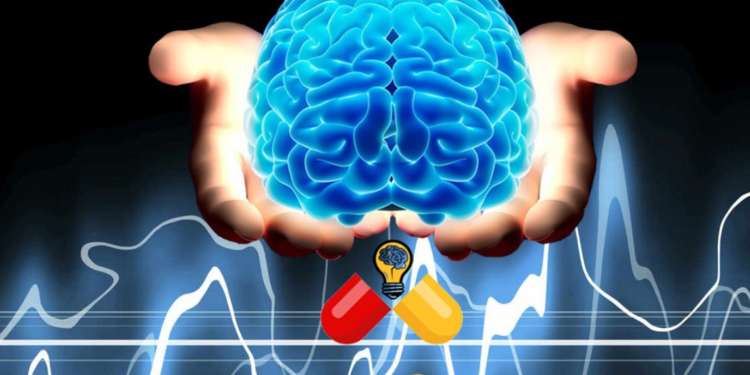 Seven nutritious foods that improve memory and cognitive function