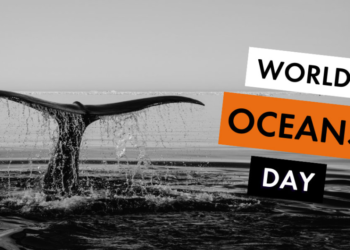 On this World Ocean Day, athletes and sports may contribute to ocean conservation