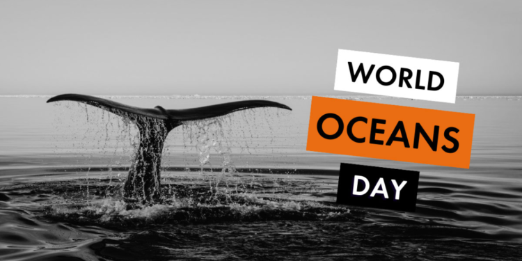 On this World Ocean Day, athletes and sports may contribute to ocean conservation