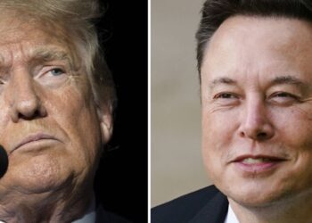 Elon Musk and Donald Trump