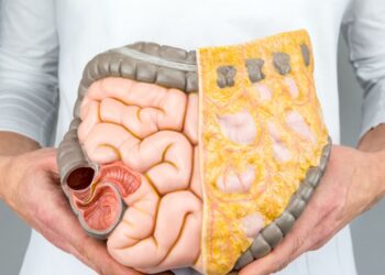 Lilly expands its line of bowel illness drugs with a $3.2 billion acquisition of Morphic