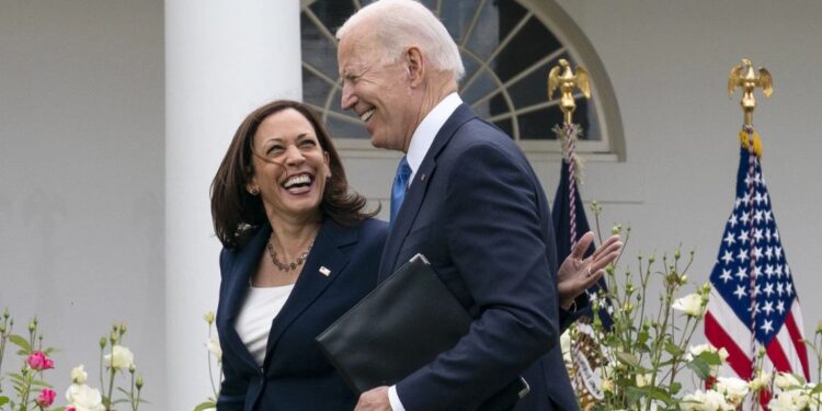 Democrats are supposed to have drafted plans for President Biden to support vice president Harris