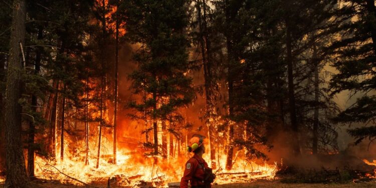 $4 Billion Settlement Proposed for Maui Wildfire Victims
