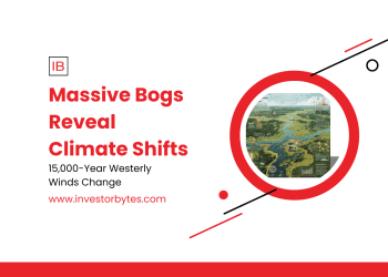 Massive Bogs Reveal Climate Shifts: Peatlands Expose 15,000-Year Westerly Wind Surge, Warning of Southern Ocean Carbon Peril