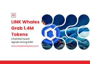 LINK Whales Grab 1.4M Tokens