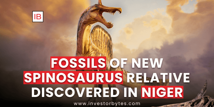 Fossils of New Spinosaurus Relative Discovered in Niger