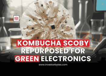 Kombucha SCOBY Repurposed for Green Electronics