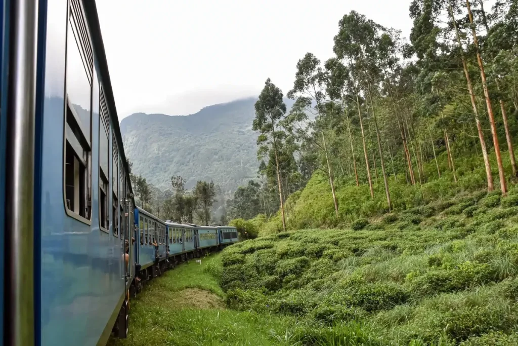 A weakening rupee has quietly turned Sri Lanka into one of Asia's best-value islands, pairing palmlined beaches with colorful Buddhist temples and tuk-tuk rides through tea country.